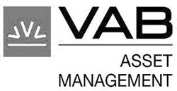 Свідоцтво торговельну марку № 89228 (заявка m200612525): vab; asset; management; vvv