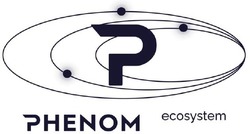 Свідоцтво торговельну марку № 339656 (заявка m202119554): phenom ecosystem; р