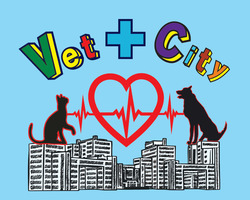 Заявка на торговельну марку № m202316082: vet + city