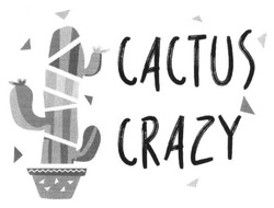 Свідоцтво торговельну марку № 245733 (заявка m201628284): cactus crazy