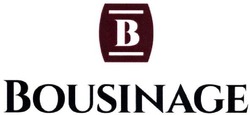 Свідоцтво торговельну марку № 313791 (заявка m202111852): bousinage; в