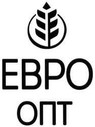Свідоцтво торговельну марку № 308208 (заявка m201924353): ebpo; евро опт