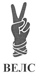 Заявка на торговельну марку № m202604010: велс