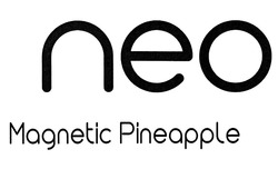 Свідоцтво торговельну марку № 309703 (заявка m201928404): magnetic pineapple; neo