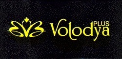 Свідоцтво торговельну марку № 13701 (заявка 95082602): Volodya plus; volodya