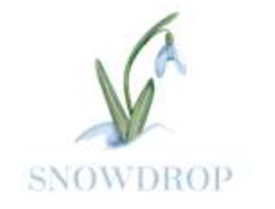 Свідоцтво торговельну марку № 316549 (заявка m202104954): snowdrop