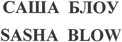 Свідоцтво торговельну марку № 160071 (заявка m201106240): sasha blow; саша блоу