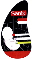 Свідоцтво торговельну марку № 195829 (заявка m201323536): sanix