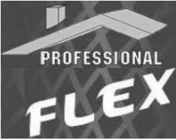 Заявка на торговельну марку № m202002671: profesional flex
