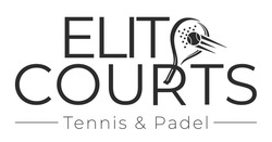 Заявка на торговельну марку № m202524285