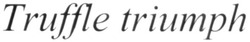 Свідоцтво торговельну марку № 325321 (заявка m202002997): truffle triumph