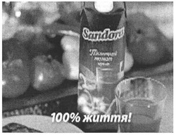 Свідоцтво торговельну марку № 98340 (заявка m200705113): sandora; пікантний томат; 100% життя!