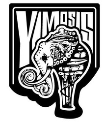 Свідоцтво торговельну марку № 308299 (заявка m201929968): yimosis