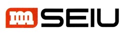 Свідоцтво торговельну марку № 317554 (заявка m202010941): mseiu; т