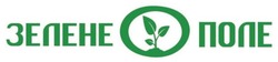 Заявка на торговельну марку № m202512587: зелене поле