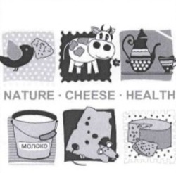 Заявка на торговельну марку № m201626240: nature cheese health