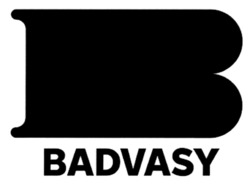 Заявка на торговельну марку № m202519748: badvasy; в