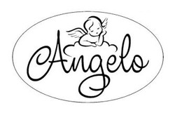 Заявка на торговельну марку № m202524512: angelo