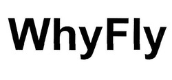 Свідоцтво торговельну марку № 306501 (заявка m201915815): why fly; whyfly
