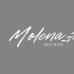 Заявка на торговельну марку № m202406578: molena deco & flo