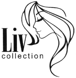 Свідоцтво торговельну марку № 296552 (заявка m201914344): liv collection
