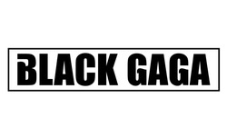 Свідоцтво торговельну марку № 314754 (заявка m202011005): black gaga