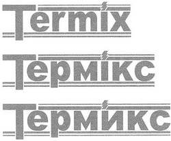 Свідоцтво торговельну марку № 48406 (заявка 2003054994): termix; термікс; термикс