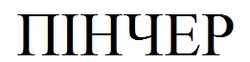 Заявка на торговельну марку № m202600898: пінчер